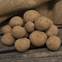 Læggekartofler ''Connect'' 1 kg, Let melede kartofler, tidlige og velegnede til 