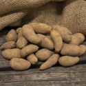 Læggekartofler ''Sparrispotatis'' 1 kg, Fastkogende kartofler, sene og kan opbev