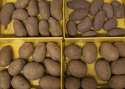 Læggekartofler ''''Gourmetlådan'''', Velkomponeret gourmetkasse med sen og