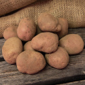 Læggekartofler ''''''''Monte Carlo'''''''' 1 kg, Fastkogende kartofler, medium-t