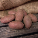 Læggekartofler ''''''''Asterix'''''''' 1 kg, Fastkogende kartofler, sene og rigt