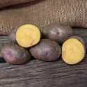 Læggekartofler ''''''''Blå Mandel'''''''' 1 kg, Melede kartofler, sene med god o