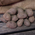 Læggekartofler ''''''''Blå Mandel'''''''' 1 kg, Melede kartofler, sene med god o