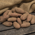 Læggekartofler ''Cherie'' 3 kg, Fastkogende kartofler, tidlige og kan opbevares.