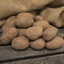 Læggekartofler ''Labella'' 3 kg, Let melede kartofler, tidlige og velegnede til 