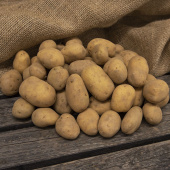 Læggekartofler 'Marine' 3 kg