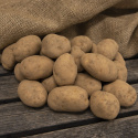 Læggekartofler ''Maris Bard'' 3 kg, Fastkogende kartofler, tidlige til medium-ti