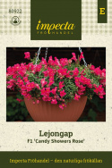Løvemund F1 'Candy Showers Rose', Lav. Strålende hindbærrosa blomster med gult svælg.