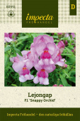 Løvemund F1 'Snappy Orchid'
