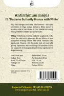 Løvemund F1 'Madame Butterfly Bronze with White', Blide nuancer af koralrosa med hvidt svælg.