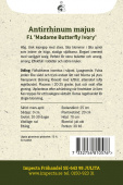 Løvemund F1 'Madame Butterfly Ivory'