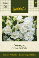 Løvemund F1 'Snapstar White', Busket vækstform til krukker og bede, men også fin kvalitet til blomsterdekorationer og buketter.