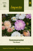 Sommerasters 'The Roses'