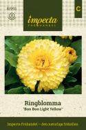 Morgenfrue 'Bon Bon Light Yellow', Fyldte, lyst solgule blomster med en diskret schattering af vinrødt.