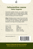 Catharanthus 'Tattoo Tangerine'