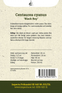 Kornblomst 'Black Boy', Fin i sommerbede og buketter. Kan også tørres.