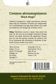 Chokoladeblomst 'Black Magic'