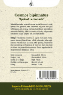 Stolt kavaler ''Apricot Lemonade'', Stolt kavaler med enkle blomster i blød abrikos- og cremefarvet.