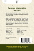Stolt kavaler 'Sea Shells'