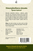 Guldblomst 'Queen Salmon'
