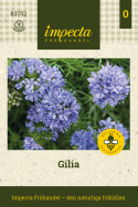 Gilia, Bedårende, lavendelblå stjerneblomster samlet i tætte, runde blomsterstande på oprette, lige stilke. 