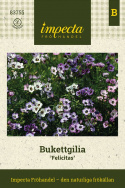 Fugleøje  'Felicitas', Masser af små blomster i hvid, pastelrosa og lavendelblå, alle med et mørkt øje.