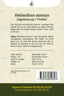 Fyldt solsikke 'Firefox', fyldte blomster i orangegul med en mørkere midte og en enkel yderkrans af solgule kronblade.