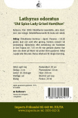 Ærteblomst 'Old Spice Lady Grisel Hamilton'