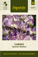 Ærteblomst 'Spencer Nimbus', Store, velduftende, blomster med tofarvede kronblade i hvid og blåviolet.