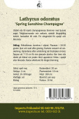 Ærteblomst 'Spring Sunshine Champagne'