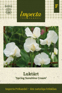 Ærteblomst 'Spring Sunshine Cream', Elegante og søde cremefarvede blomster.