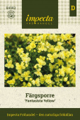 Linaria x versicolor 'Fantasista Yellow'