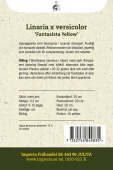 Linaria x versicolor 'Fantasista Yellow'