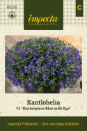 Kantlobelia F1 'Masterpiece Blue with Eye', Meget kompakte, ensartede tuer, tæt oversået af dybt blå blomster med hvidt øje. 