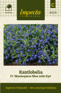 Kantlobelia F1 'Masterpiece Blue with Eye', Meget kompakte, ensartede tuer, tæt oversået af dybt blå blomster med hvidt øje. 