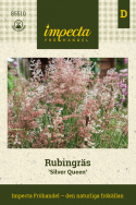 Rubingræs 'Silver Queen', Fantastisk udsmykning til blandede beplantninger, krukker og snit.