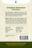 Halebørstegræs 'Tail Feathers'
