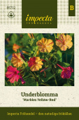 Vidunderblomst 'Marbles Yellow-Red'
