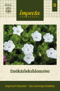 Plettet Øjeblomst, Iøjnefaldende småblomster i snehvid med drys af blåsorte prikker. Enkelte afvigelser kan forekomme.