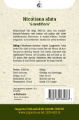 Stor prydtobak 'Grandiflora'