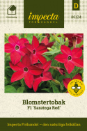 Tobaksblomst F1 'Saratoga Red', Velduftende, højrøde blomster i over de lysegrønne blade.