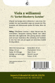 Hornviol F1 'Sorbet XP Blueberry Sundae'