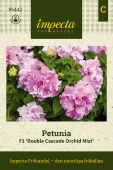 Petunia F1 'Double Cascade Orchid Mist'