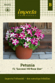 Petunia F1 'Succes! HD Rose Star'