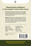 Haveranunkel F1 'Bloomingdale II Golden Yellow Shades', Tidligt blomstrende forårspragt med tæt fyldte,  appelsingule blomster.