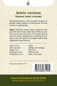 Skarlagensalvie 'Summer Jewel Lavender'
