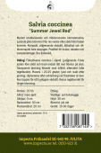Skarlagensalvie 'Summer Jewel Red'