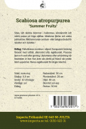Enkeblomst 'Summer Fruits', blomster i hindbærrød, kirsebærrød og mørk lilla på lange, lette stilke.