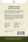 Stor fløjlsblomst 'Sugar & Spice White'