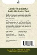Stolt kavaler ''Double Click Bicolour Violet'', smukke, store, halv- til helt fyldte blomster, tofarvede i hvid og rosaviolet.